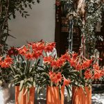 Just another blog post