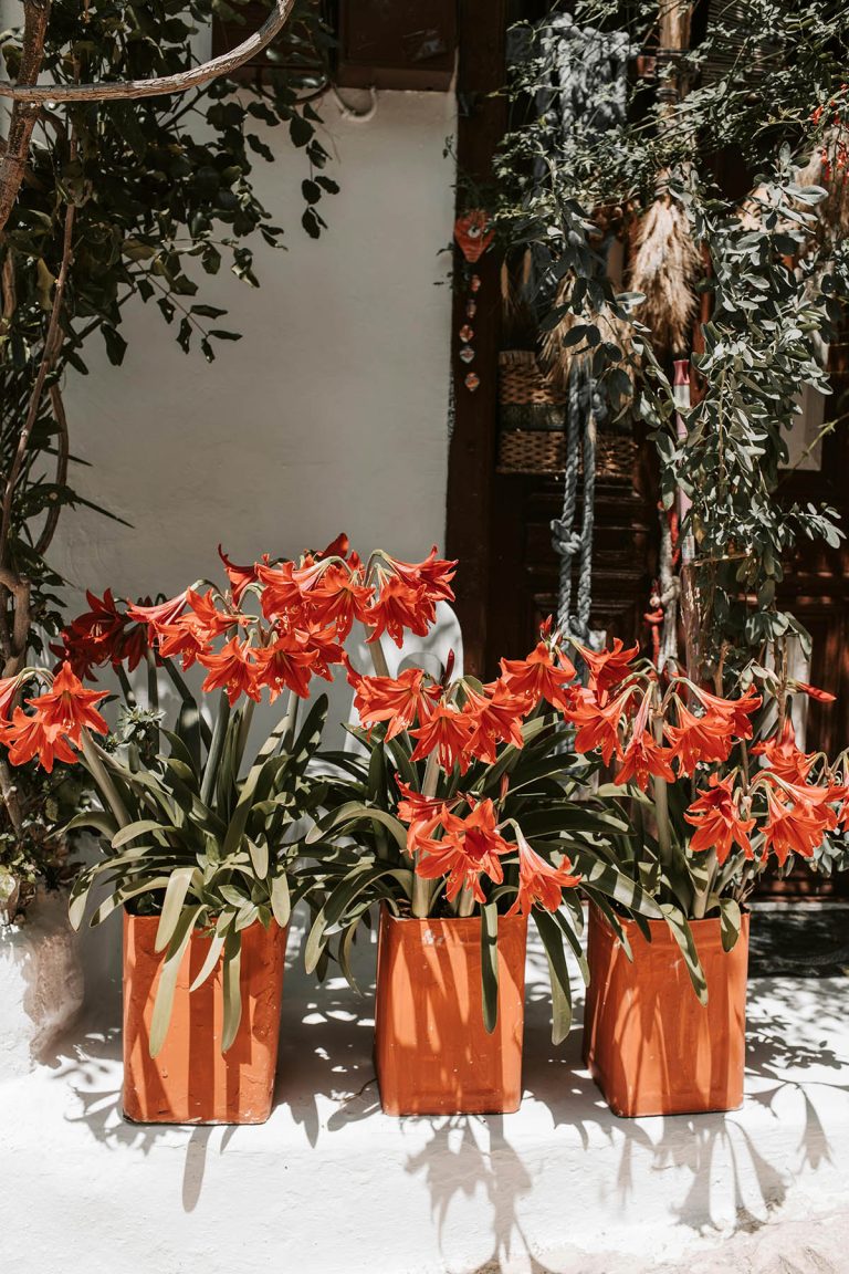Just another blog post