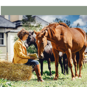 Animals as Teachers – 5-Week Online Journey into Animal Wisdom and Connection