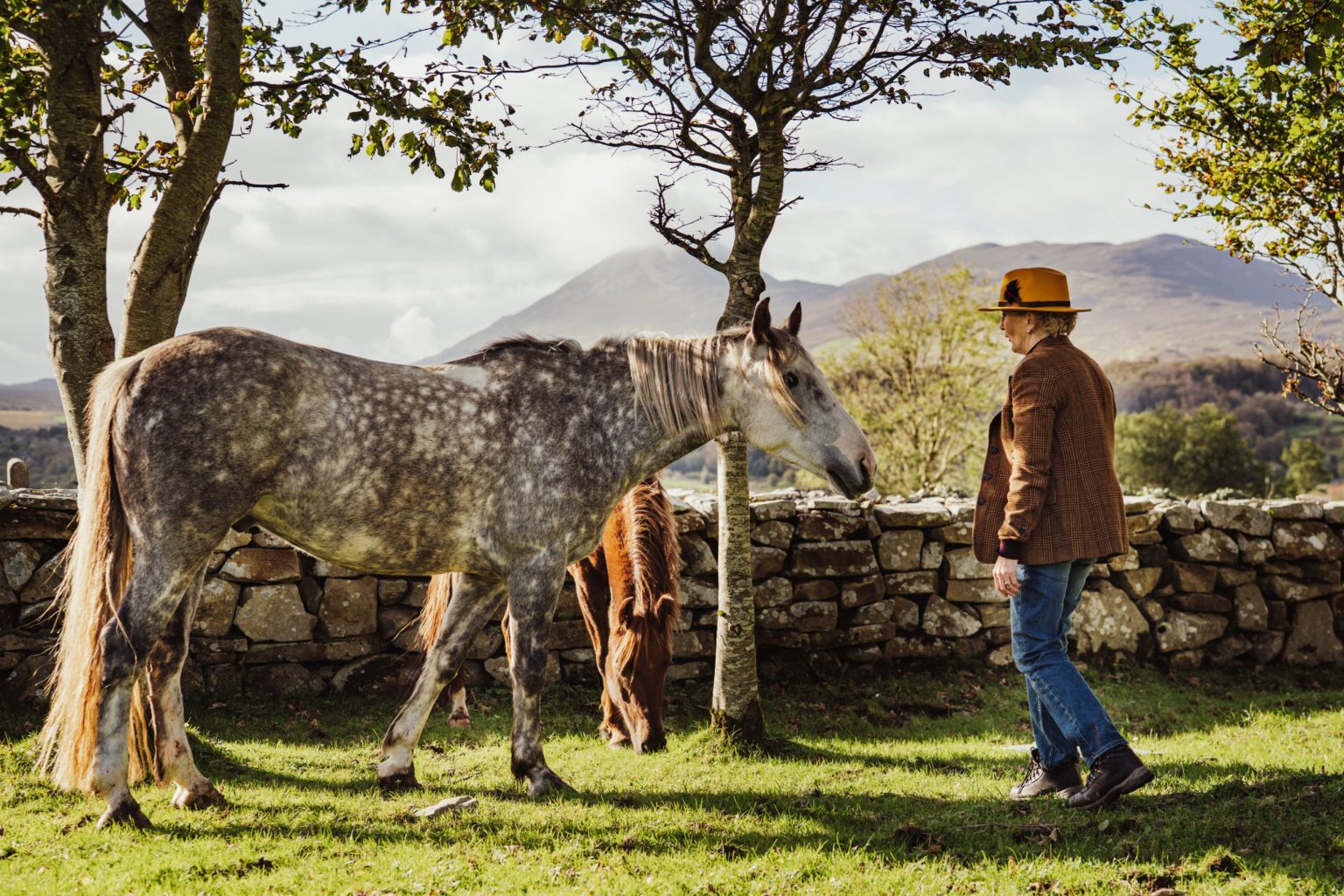 Mary walking towards a dappled grey horse beside a stone wall, mountains behind